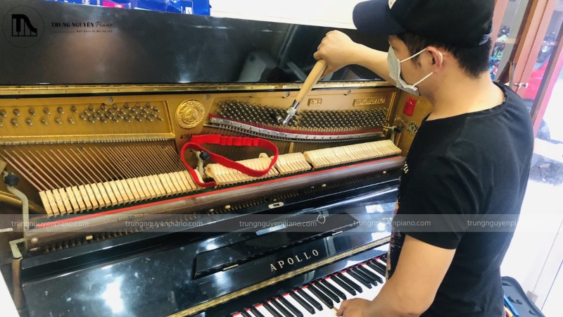 Kỹ thuật viên piano đang cẩn thận lên dây cho một cây đàn upright piano