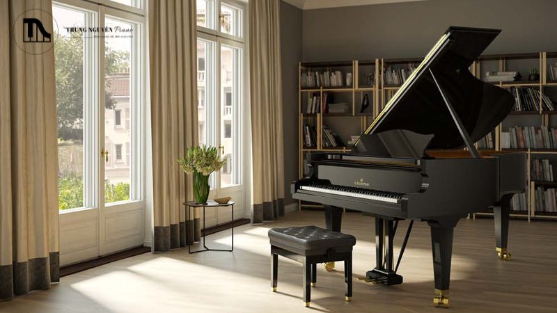 Đàn được giữ gìn cẩn thận về ngoại hình thường cũng được bảo quản tốt về tổng thể