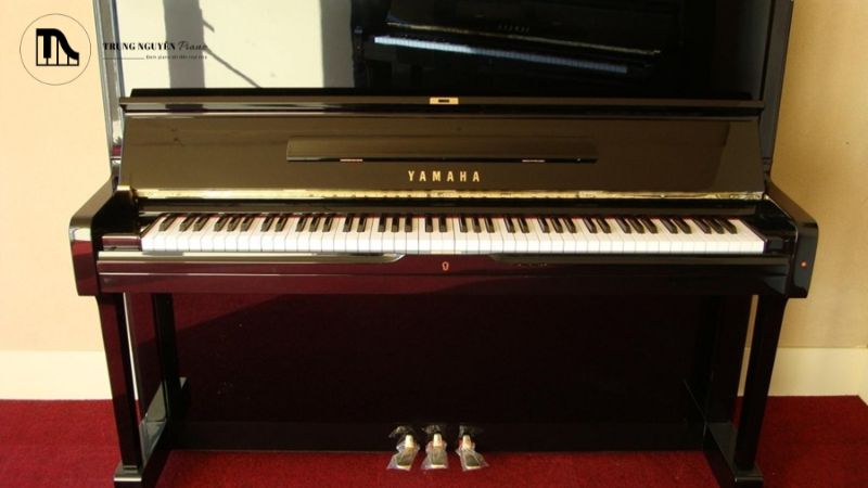 Đàn không giữ được tune, chi phí thay thế rất cao