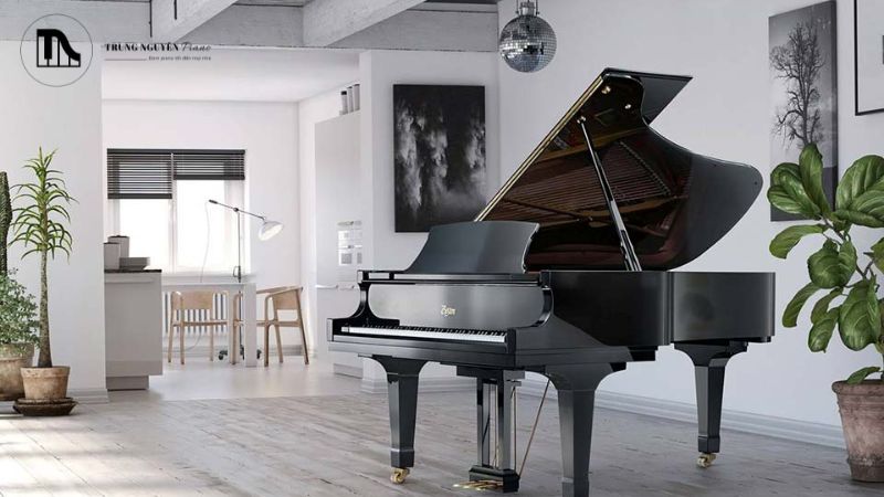 Cân nhắc những lợi ích dài hạn và sự an tâm mà địa chỉ bán đàn chuyên nghiệp mang lại