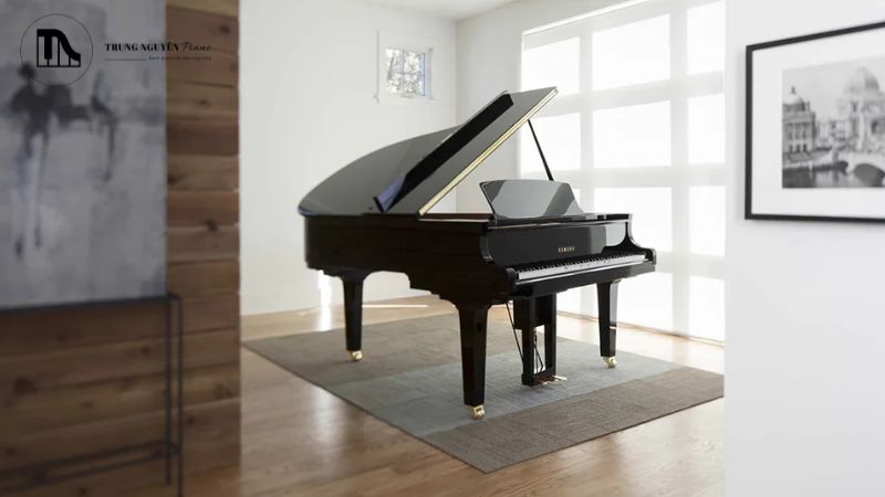 Đàn càng mới thường có giá cao hơn, tuy nhiên một số cây đàn cổ được bảo quản tốt vẫn rất giá trị