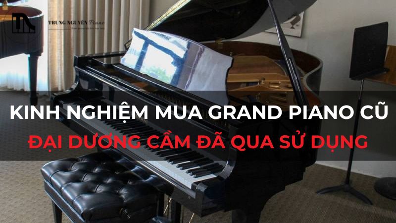 Kinh nghiệm mua Grand Piano cũ: Đại Dương Cầm đã qua sử dụng
