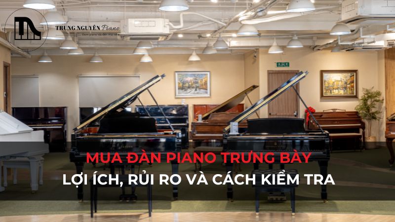 Mua đàn Piano trưng bày: Lợi ích, rủi ro và cách kiểm tra