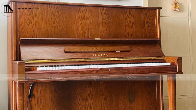 Chính sách đổi trả đàn Piano Trung Nguyên Piano chi tiết nhất 2 Lỗi nguồn gốc của đàn piano