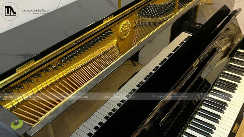 Bề mặt sơn bóng của đàn piano là điểm thẩm mỹ của cây đàn nên cần đặc biệt quan tâm kiểm tra