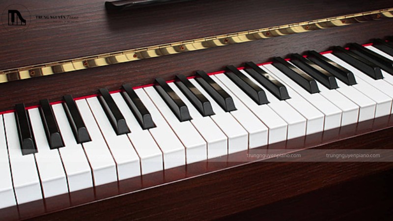 Cận cảnh bàn phím piano cơ