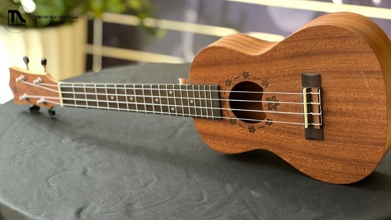 Nhiệt độ lý tưởng cho Ukulele