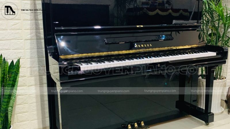 Lưu ý khi mới mua đàn piano