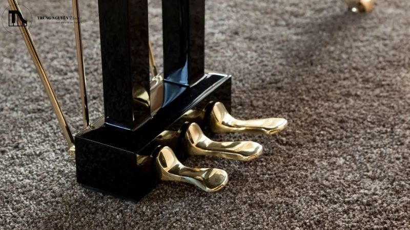 Nguyên nhân pedal bị lỏng