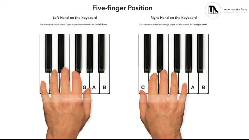 Cách dùng phần mềm chép nhạc: Sibelius, Finale, Musescore 7 Phần mềm chép nhạc là người bạn đồng hành của người chơi piano hiện đại.