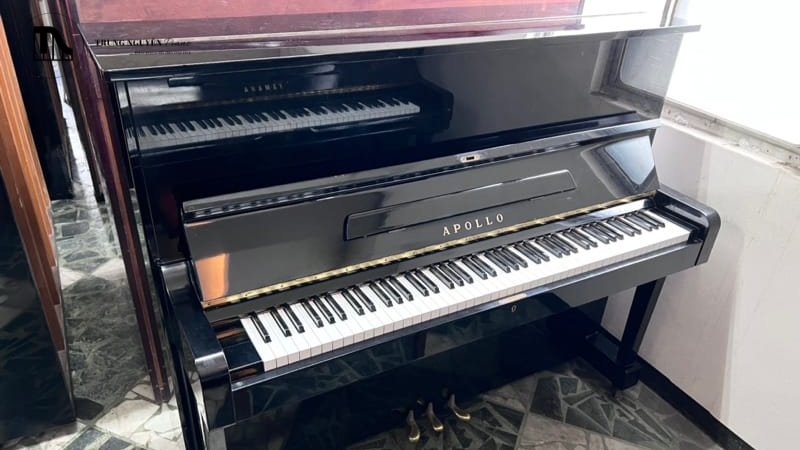 Hammer (búa đàn) thường có lõi gỗ được bọc nỉ lông cừu