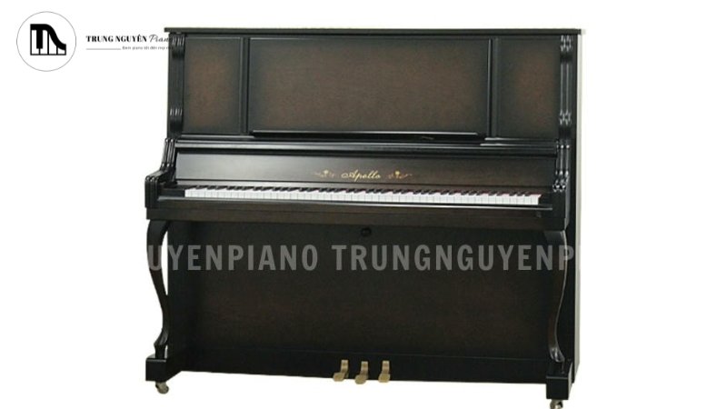 Apollo AW800 8 thường có chiều cao khoảng 126cm đến 131cm