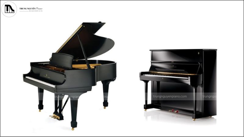 Piano Đức sâu lắng, Piano Nhật tinh gọn – mỗi cây đàn mang một cá tính riêng