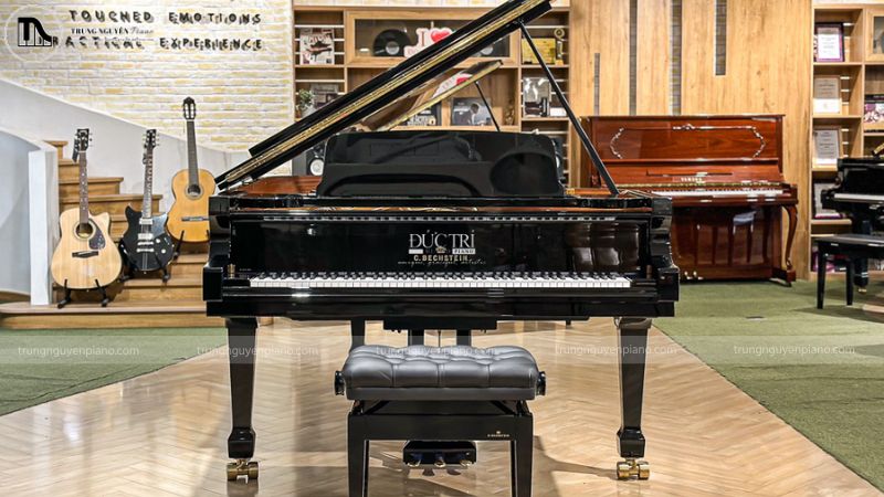 Giới thiệu về Piano cơ Đức