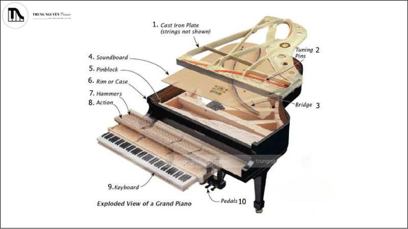 Sự khác biệt rõ rệt nhất ở cảm giác phím và bộ máy hoạt động