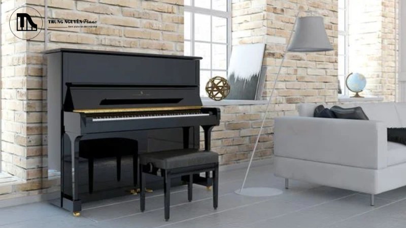 Vỏ đàn cần phải xem xét có bị trầy xước, nứt vỡ, cong vênh hay ẩm mốc không. Lớp sơn còn tốt không?