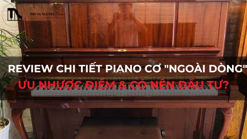 Review chi tiết piano cơ "nngoài dòng": Ưu nhược điểm & có nên đầu tư?