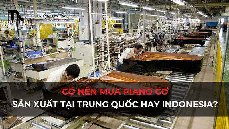 Có nên mua Piano Cơ Trung Quốc/Indonesia? Chất lượng và tư vấn
