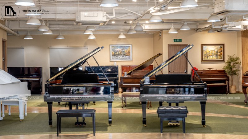 Không gian showroom trưng bày đàn piano hiện đại với nhiều lựa chọn, có đội ngũ tư vấn viên