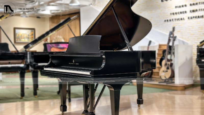 Đàn grand piano cao cấp của một thương hiệu Steinway & Sons từ Châu Âu