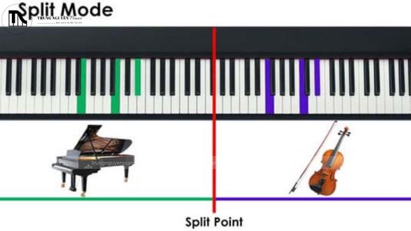 Bàn phím được chia làm hai vùng với hai loại nhạc cụ khác nhau