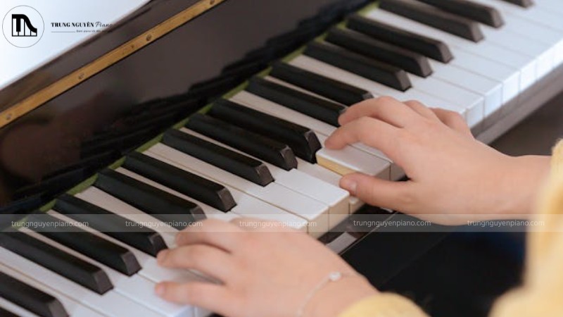 Layer và Split đều mang lại nhiều lợi ích thiết thực cho người chơi đàn