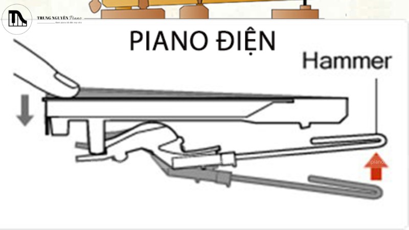 Tại sao Piano Điện cao cấp lại có giá ngang Piano Cơ? 2 Quá trình sampling âm thanh từ piano cơ hoặc hình ảnh bên trong hệ thống loa đa kênh của piano điện cao cấp