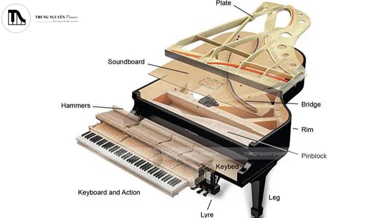 Tại sao Piano Điện cao cấp lại có giá ngang Piano Cơ? 6 Cận cảnh soundboard của piano cơ, chi tiết khung gang và dây đàn được lắp đặt tỉ mỉ