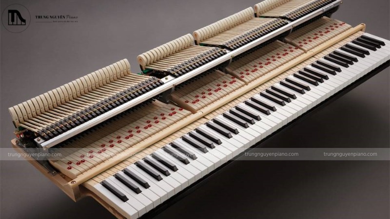 Tại sao Piano Điện cao cấp lại có giá ngang Piano Cơ? 7 Cận cảnh bộ máy cơ (action) của đàn piano đang hoạt động