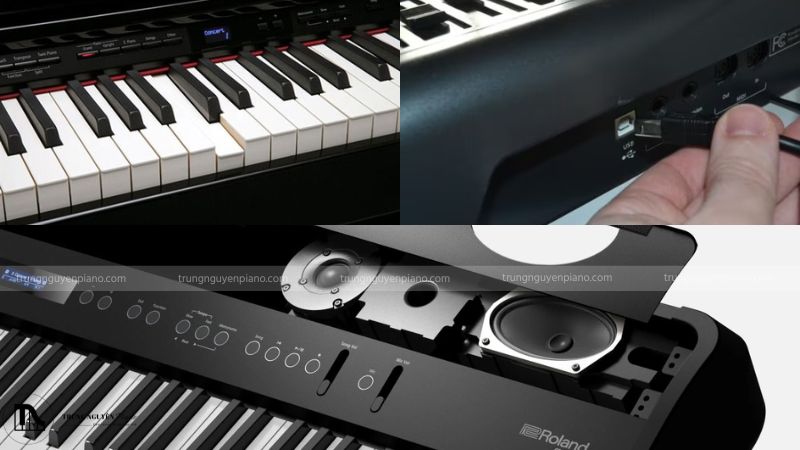 Bàn phím, âm thanh, loa và kết nối cần được xem xét kỹ khi chọn piano điện