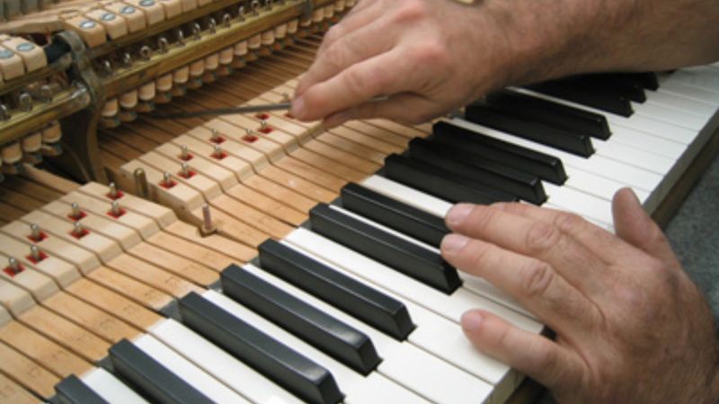 Kỹ thuật viên đang cẩn thận kiểm tra bộ máy