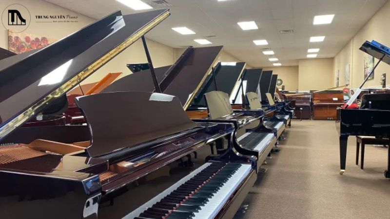Mua đàn Piano trưng bày: Lợi ích, rủi ro và cách kiểm tra 3 Hạn chế mua đàn piano trưng bày