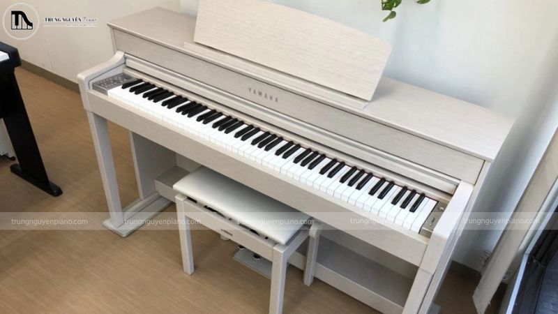 Nguồn sheet nhạc hợp pháp đảm bảo bạn tiếp cận tài liệu chính xác và chất lượng