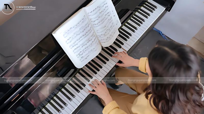 Sheet nhạc chất lượng là người thầy thầm lặng giúp bạn nâng cao kỹ năng và cảm thụ âm nhạc chính xác hơn mỗi ngày.