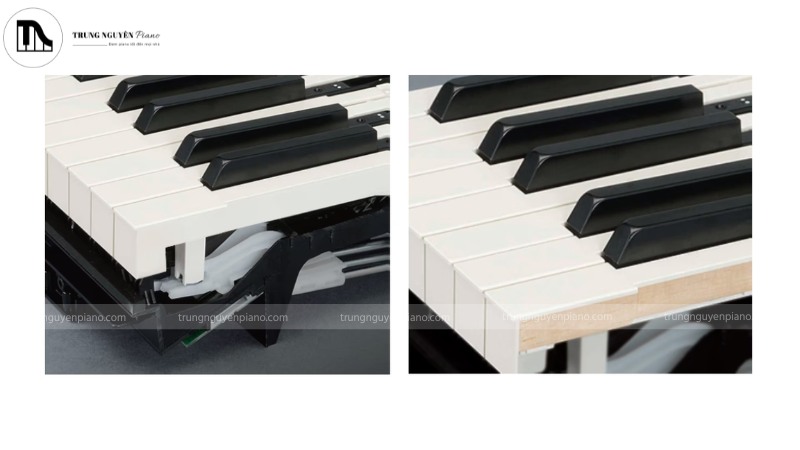 Khác biệt về bàn phím GHS và bàn phím Graded Soft Touch