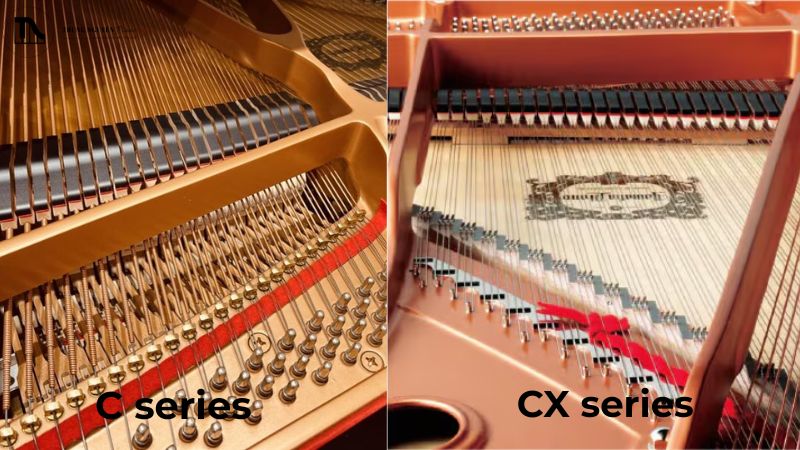 So sánh Grand Piano Yamaha C Series & CX Series: Chọn đàn 4 Dây đàn của 2 dòng grand piano Yamaha