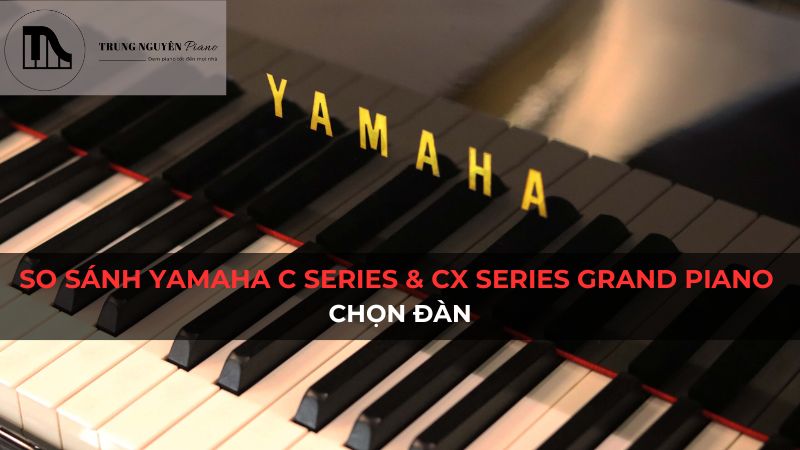 So sánh Yamaha C Series và CX Series Grand Piano: Chọn đàn