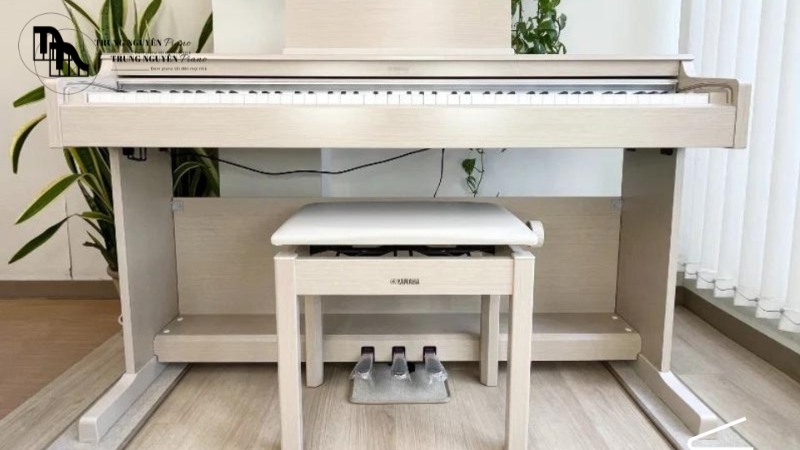 Yêu thích âm thanh đặc trưng, mạnh mẽ và trong trẻo của Yamaha CFX Concert Grand