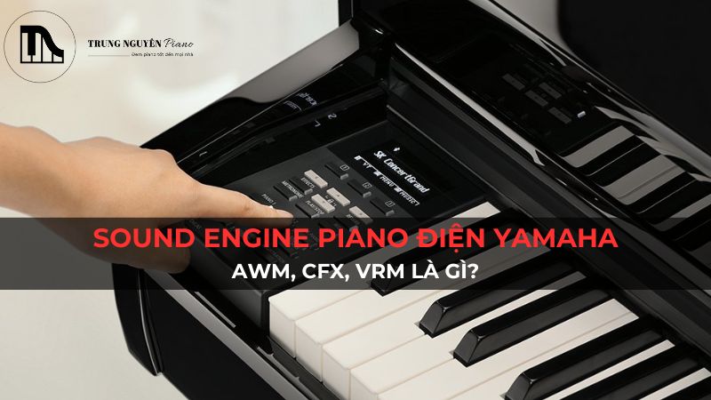 Sound Engine Piano Điện Yamaha: AWM, CFX, VRM là gì?
