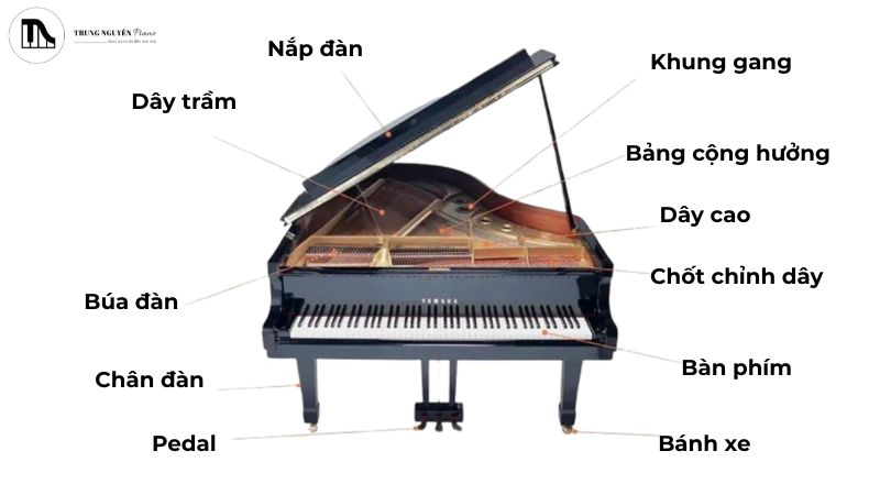 Vị trí bảng cộng hưởng trong đàn piano