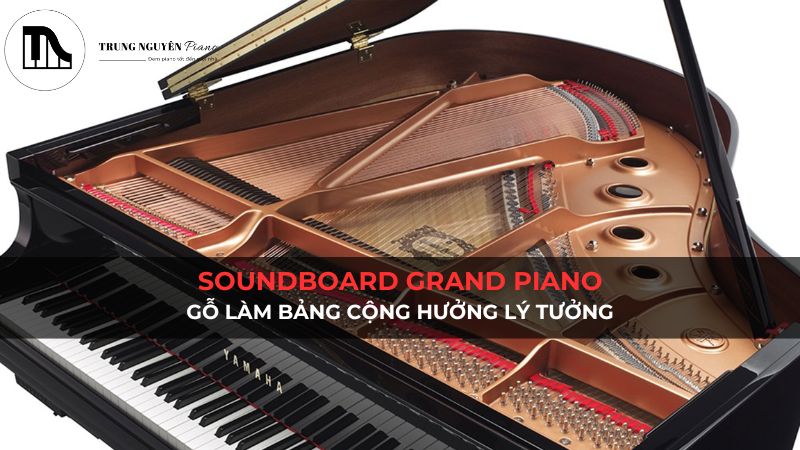 Soundboard grand piano: Gỗ làm bảng cộng hưởng lý tưởng