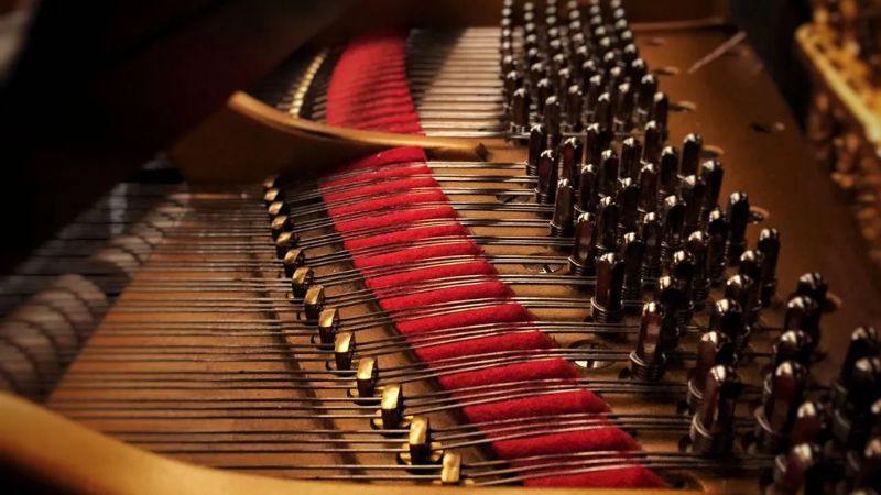 Đảm bảo cây đàn của bạn luôn ở trạng thái tốt