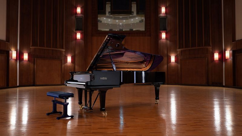 Fazioli F308 là mẫu concert grand piano lớn nhất của Fazioli