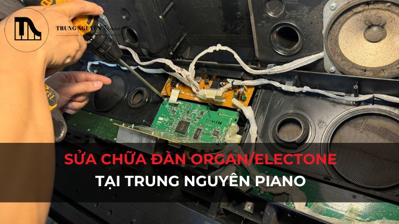 Sửa chữa đàn Organ/Electone tại Trung Nguyên Piano