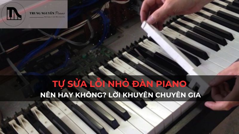 Tự sửa chữa lỗi nhỏ đàn piano: Nên hay không? Lời khuyên chuyên gia