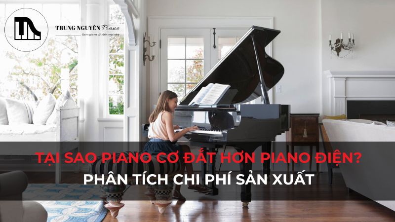 Tại sao Piano Cơ đắt hơn Piano Điện? Phân tích chi phí sản xuất