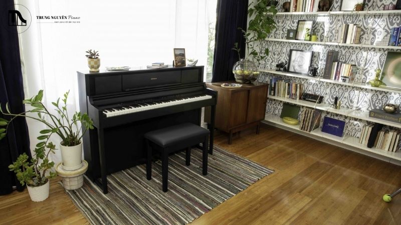 Thuê Piano tại Trung Nguyên Piano: Thủ tục, bảng giá và lợi ích 1 Thuê đàn piano cho kinh doanh