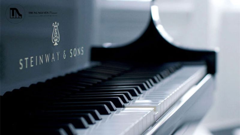 Steinway & Sons được xem là biểu tượng và tiêu chuẩn vàng trong ngành công nghiệp piano