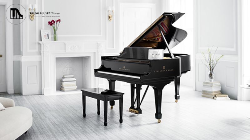 Giá đàn grand piano rất đa dạng, phụ thuộc vào thương hiệu, kích thước, tình trạng