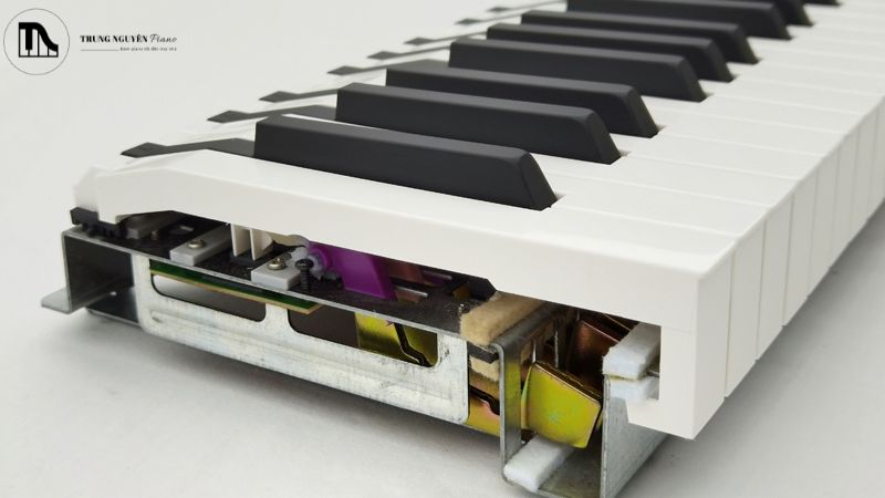 Hammer Action là cơ chế mô phỏng cảm giác búa gõ vào dây